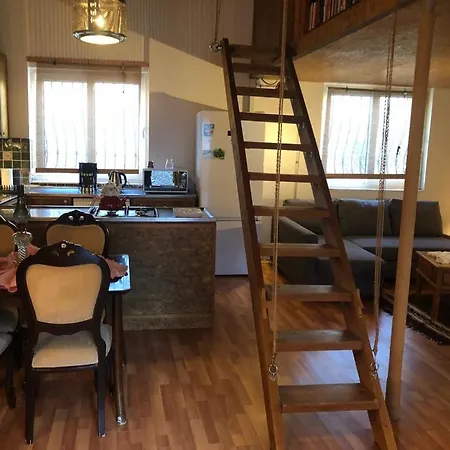 Villa Kaleici Muestakil Kisiye Oezel Bahceli Muestakil